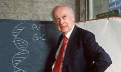 وفاة رائد أبحاث الحمض النووي جيمس واتسون عن عمر ناهز 97 عاماً